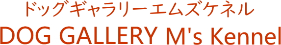 エムズケネル　栃木県真岡市にあるミニチュアシュナウザー専門ブリーダー・ペットサロン